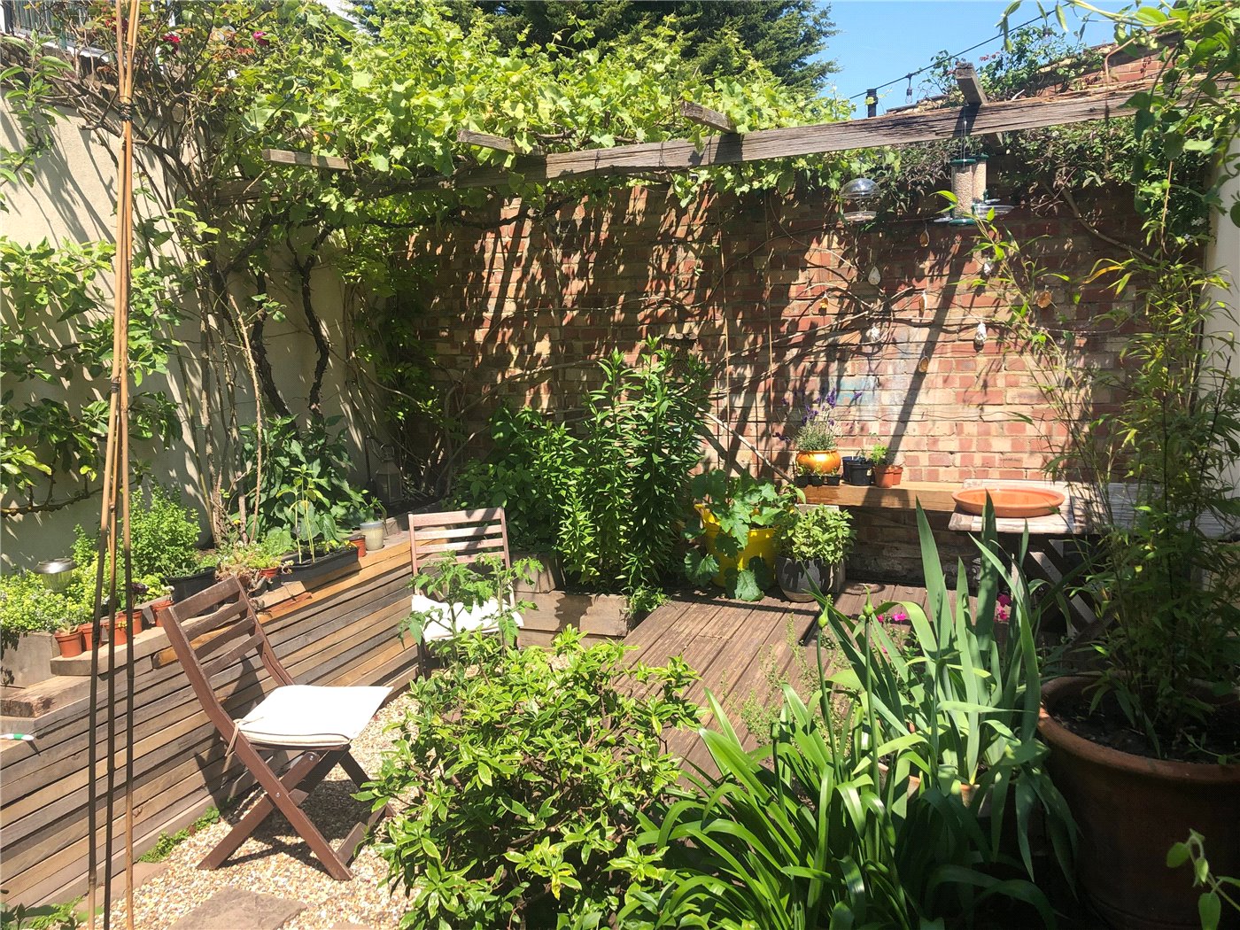 Rear Garden P1